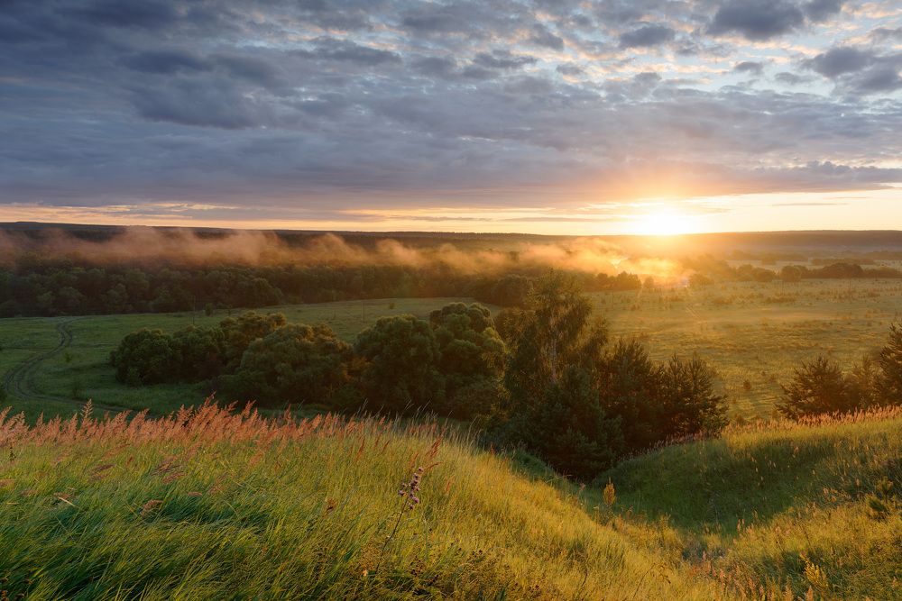 Photograph by Григорий Шалик
