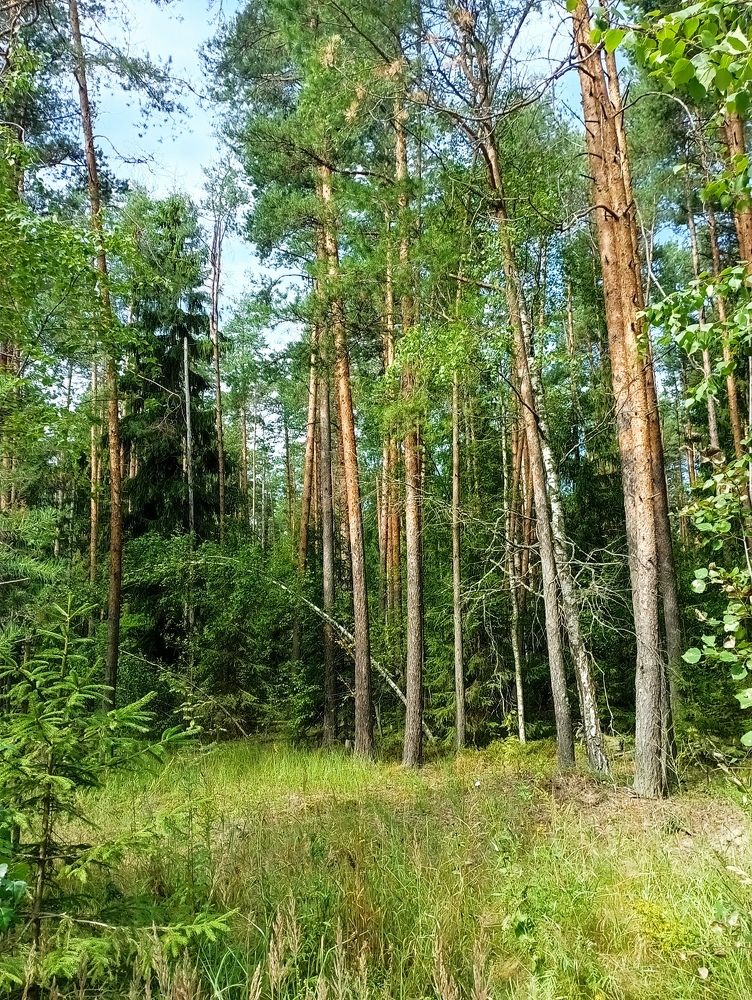 Photograph by Елена