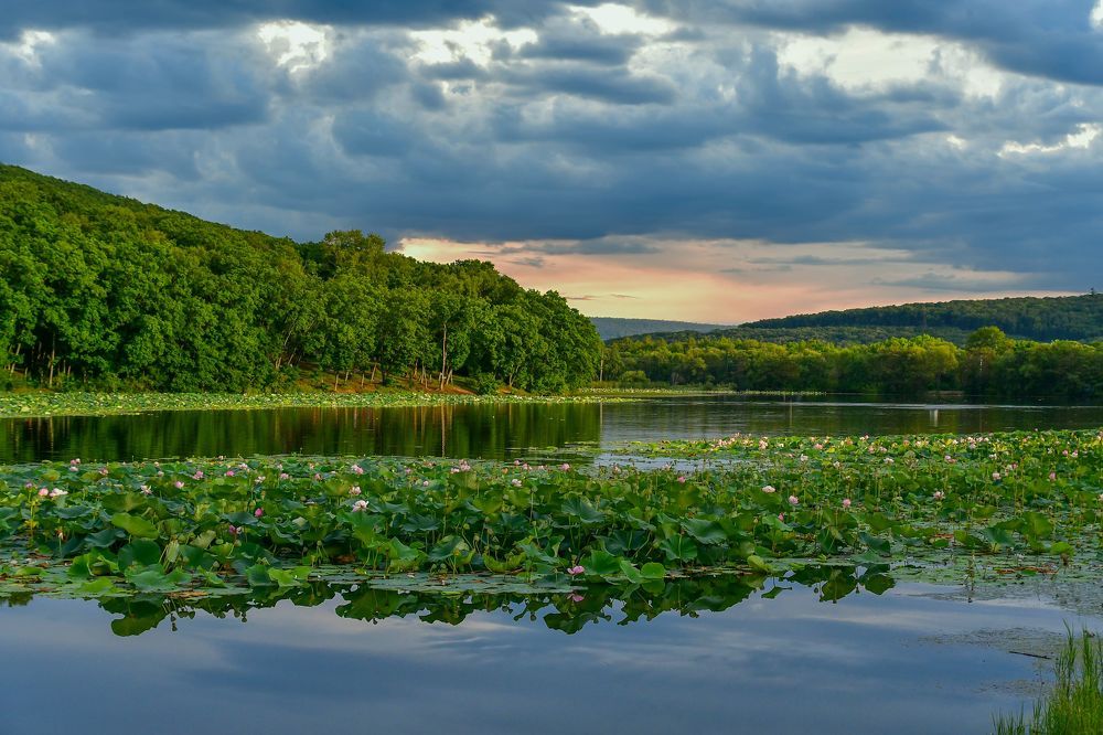 Photograph by Олег Волков