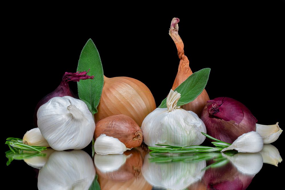 Photograph by Michael Mettier