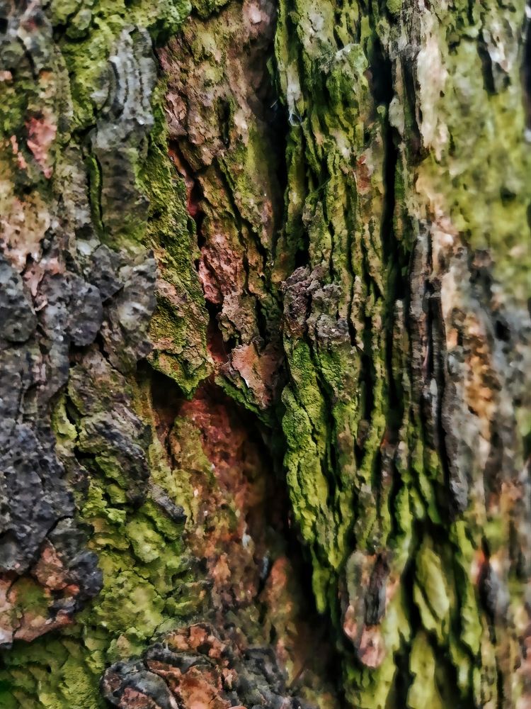 Photograph by Светлана Барабанова