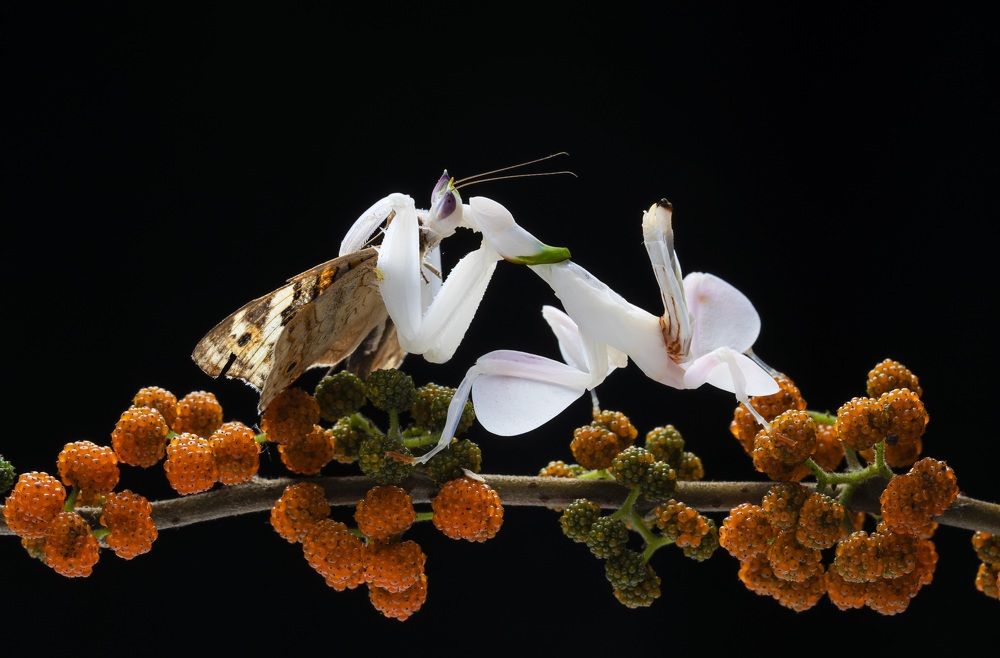 Photograph by Catherine Chong