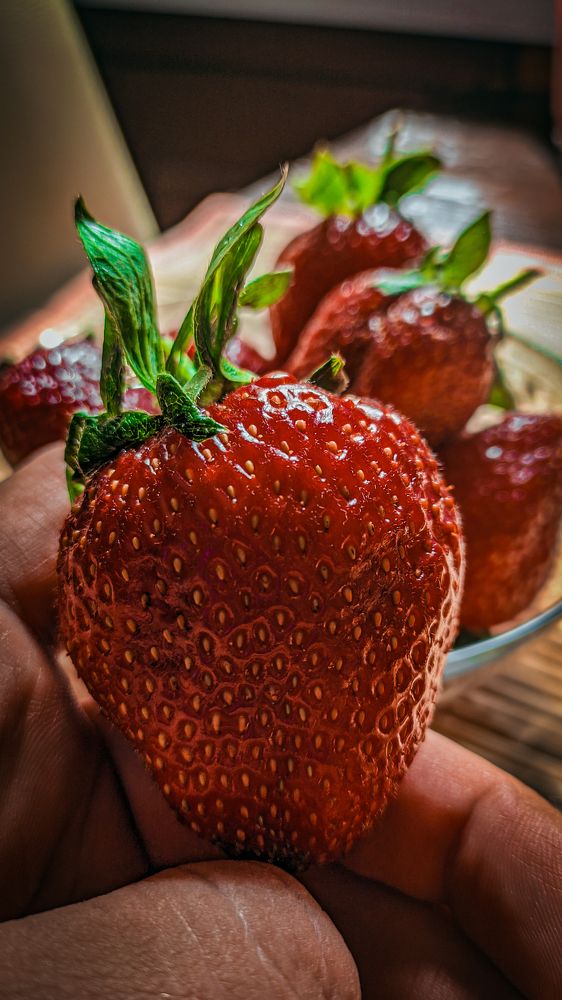 Photograph by Денис Бочаров