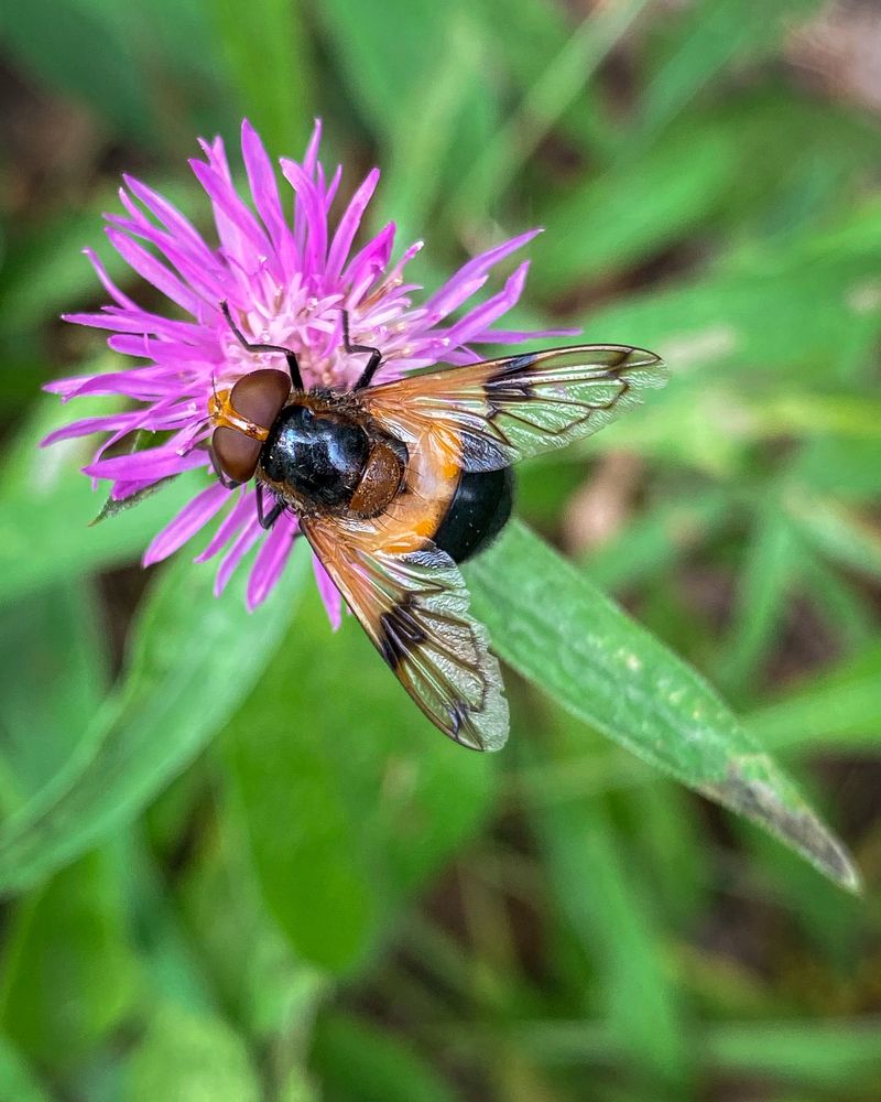 Photograph by Anna Sindikayeva