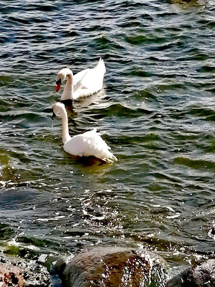 Photograph by Галина Смирнова