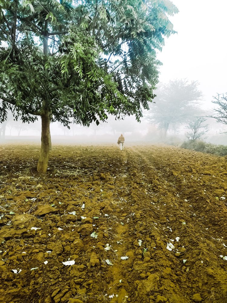 Photograph by Siddhant Jeph