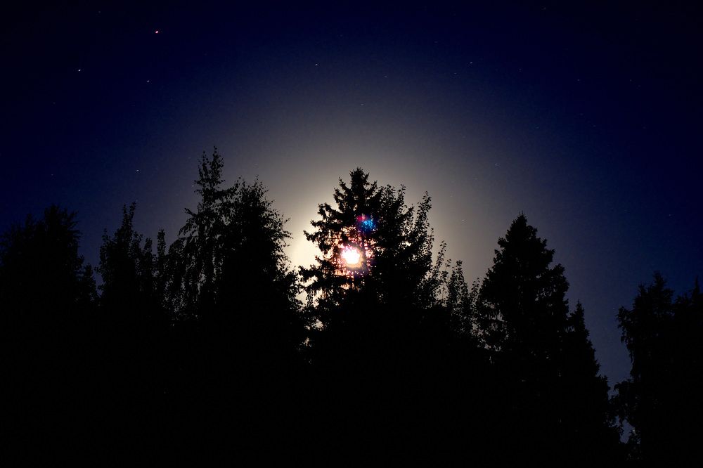 Фотография автора Tkachev Aleksey