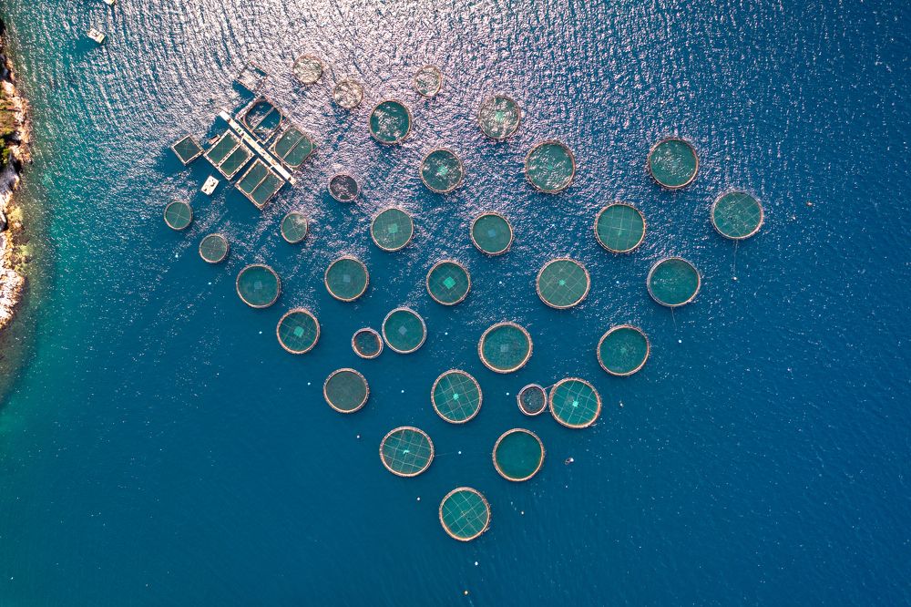 Photograph by Alexey Nikitin