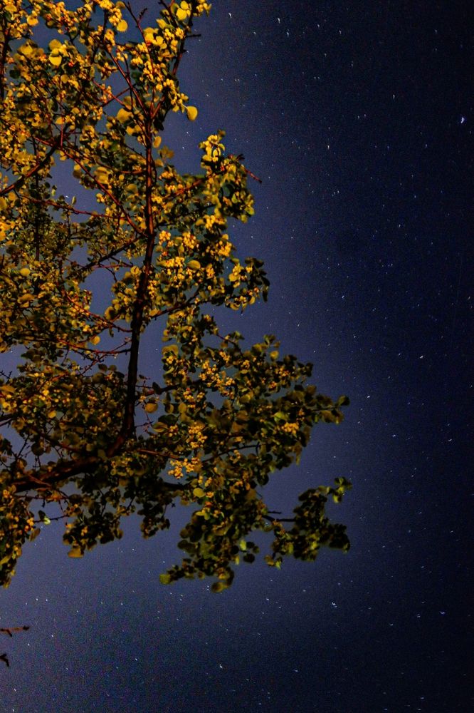 Photograph by Денис Бочаров