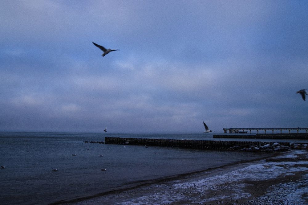 Photograph by Татьяна Чибисова