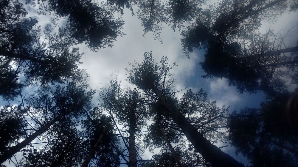 Photograph by Евгений Янчук
