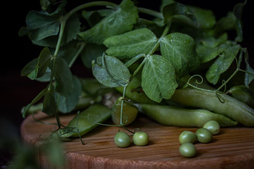 Зеленый горошек