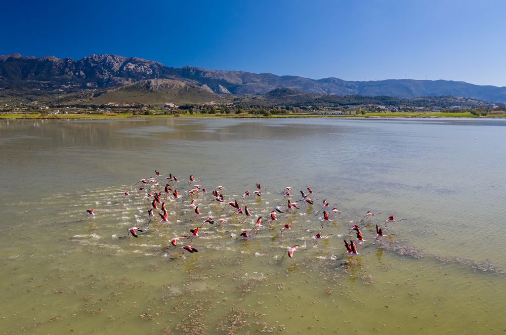 Photograph by Georgios Papapostolou