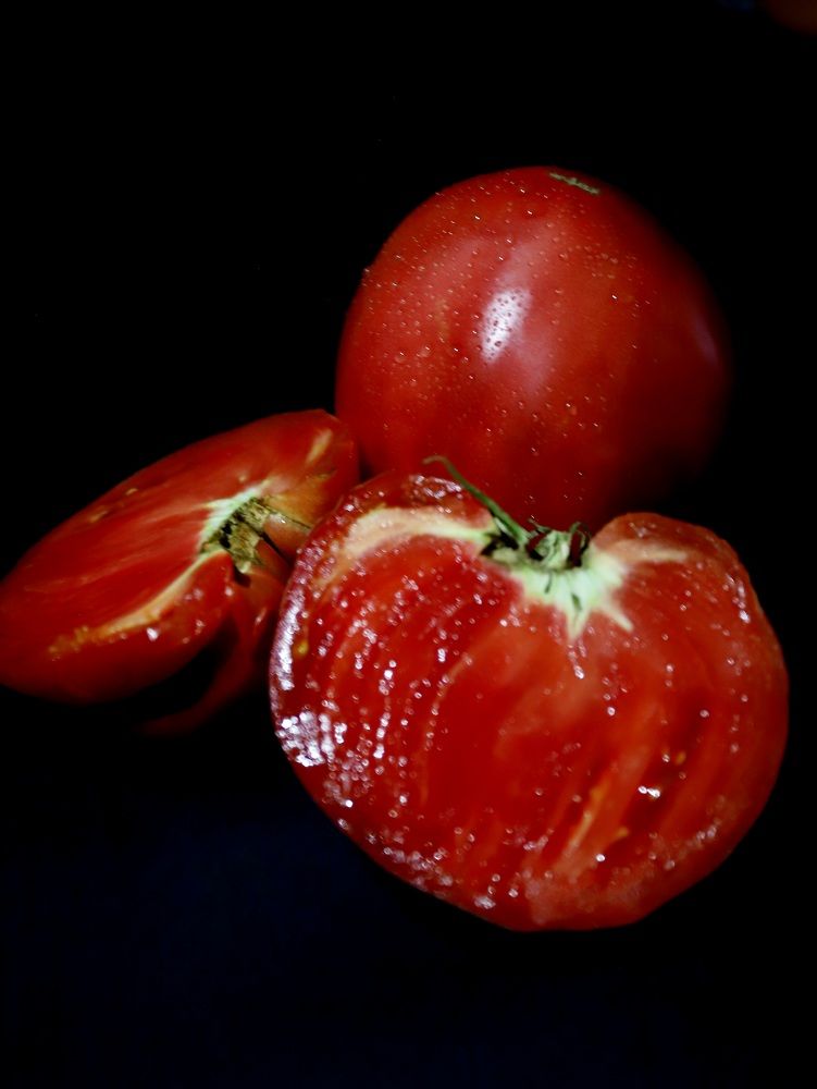 Photograph by Елена Тимченко