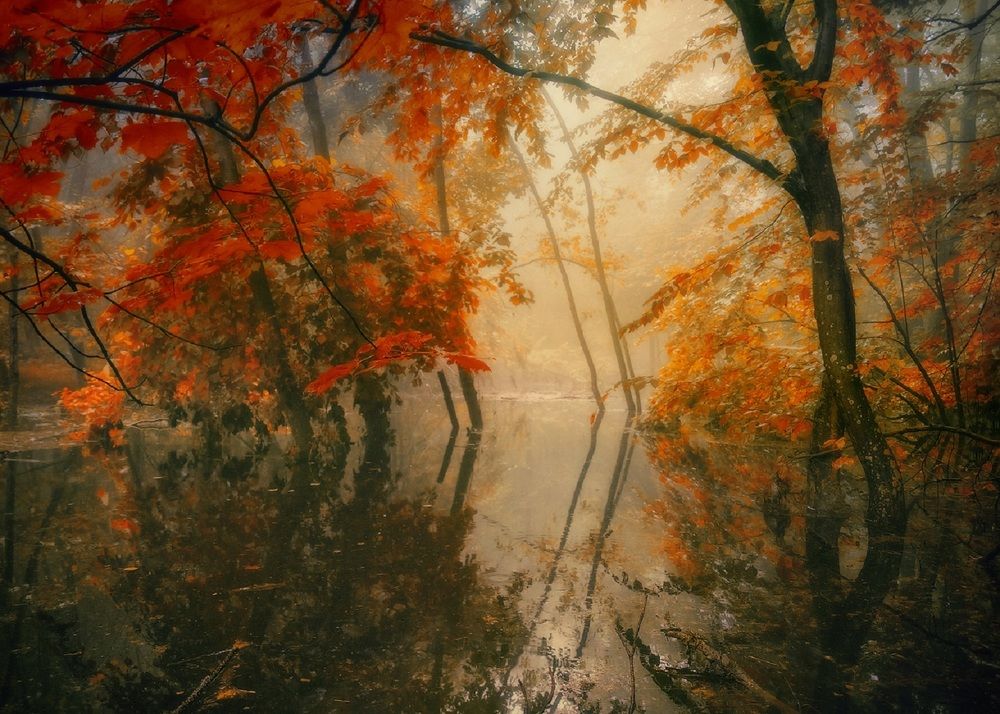 Смотрелась Осень в зеркало