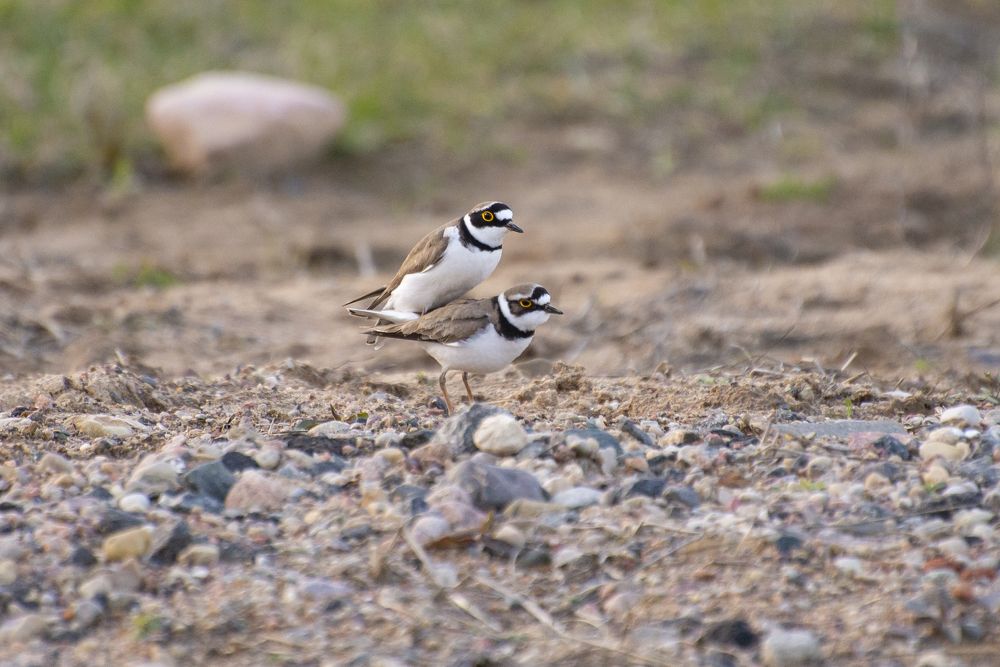 Photograph by Мария Долбич