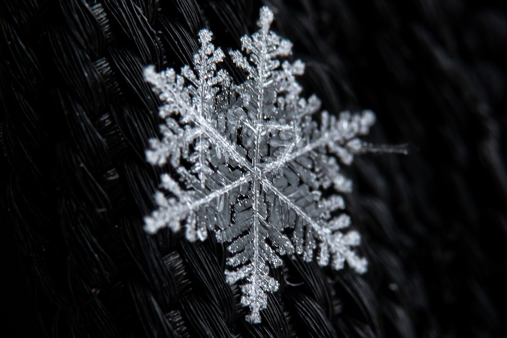 Photograph by Алексей Петров