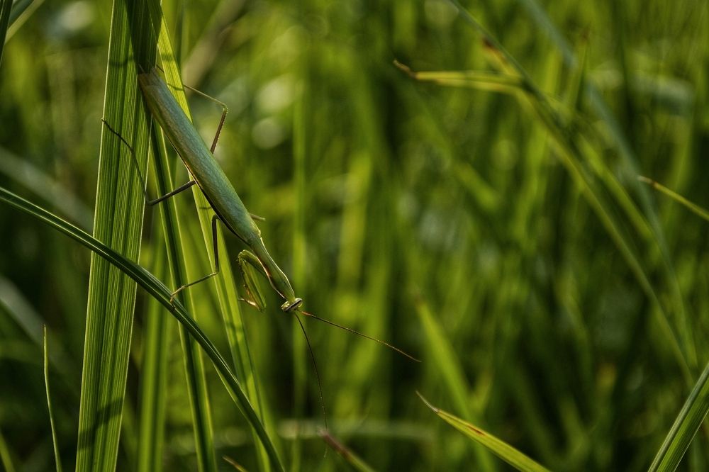 Photograph by Карина Слабкая