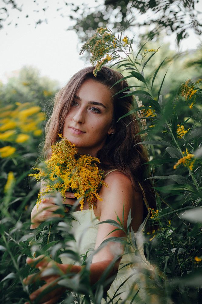 Among the goldenrods