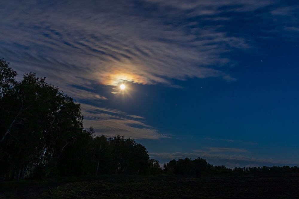 Photograph by Татьяна Гузева