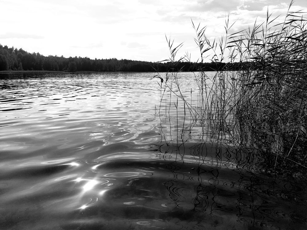 Photograph by Татьяна Новик