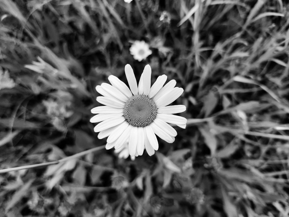 Photograph by Татьяна Новик