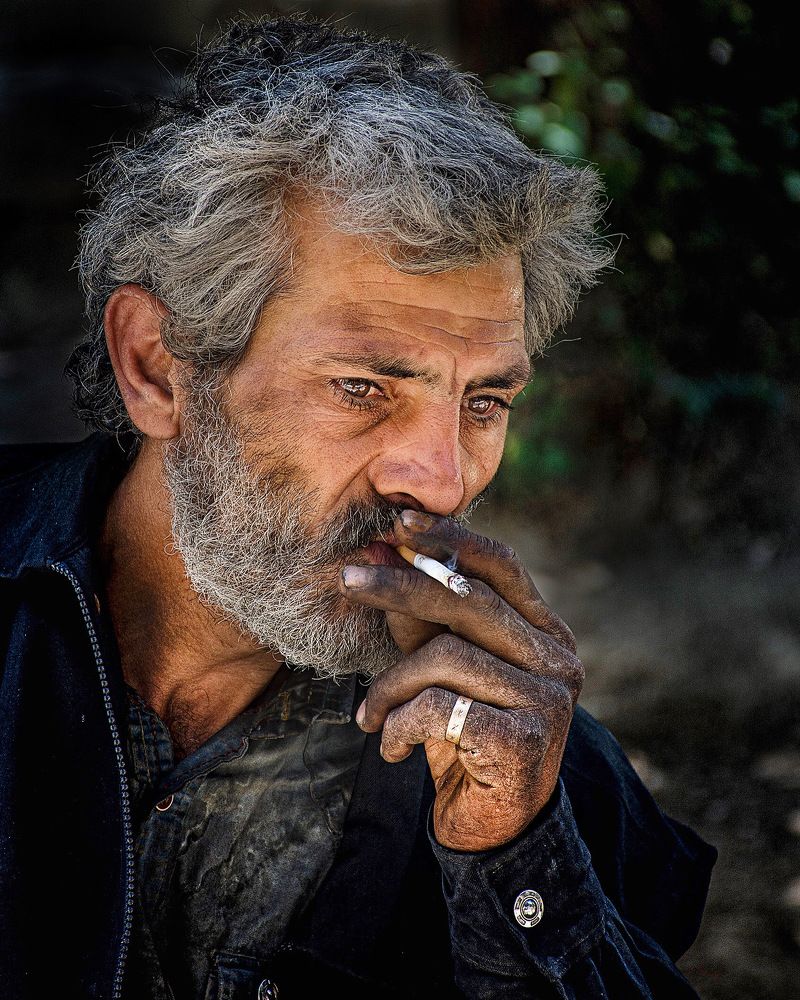 Photograph by mehdi shirvani