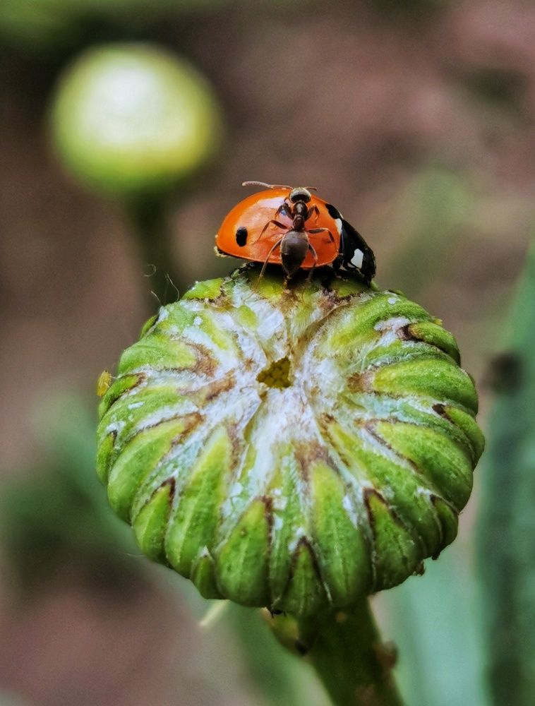 Photograph by Андрей Тур
