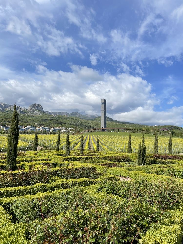 Photograph by Мария Пихтерева