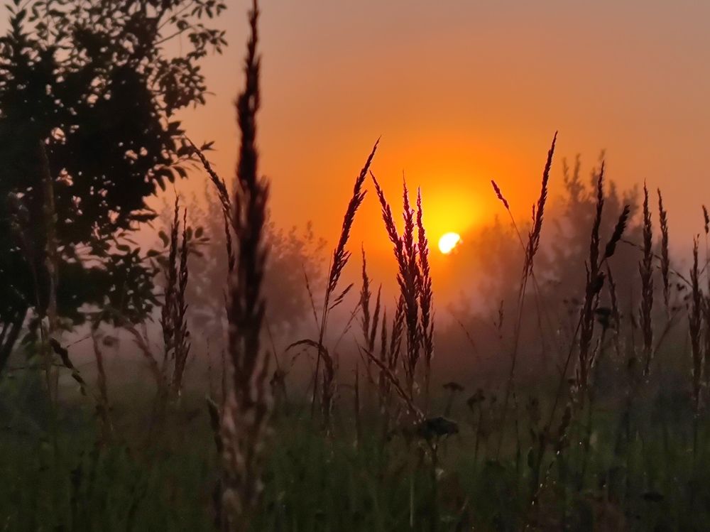 Photograph by Екатерина Харитонова