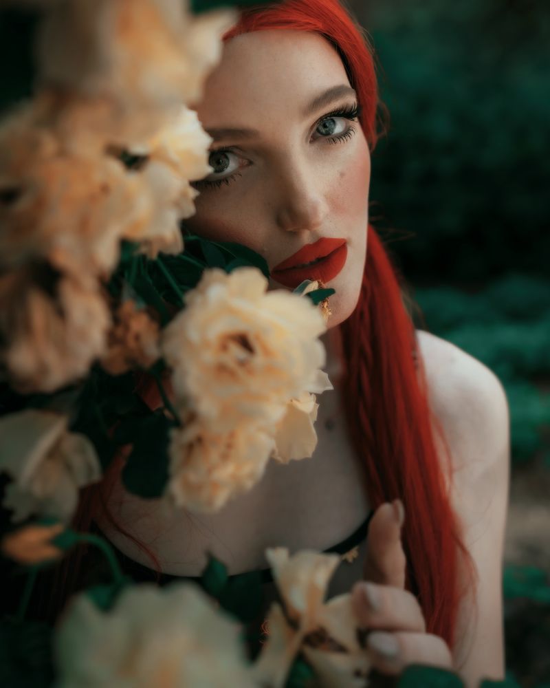 Фотография автора Сигал Георгий