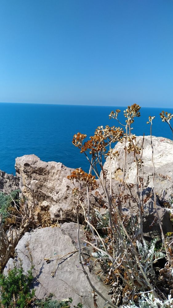 Photograph by Дарья Малкина