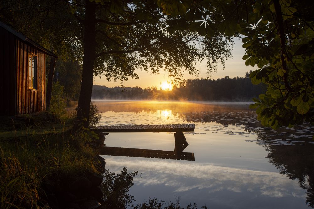 August morning in Sweden 2022