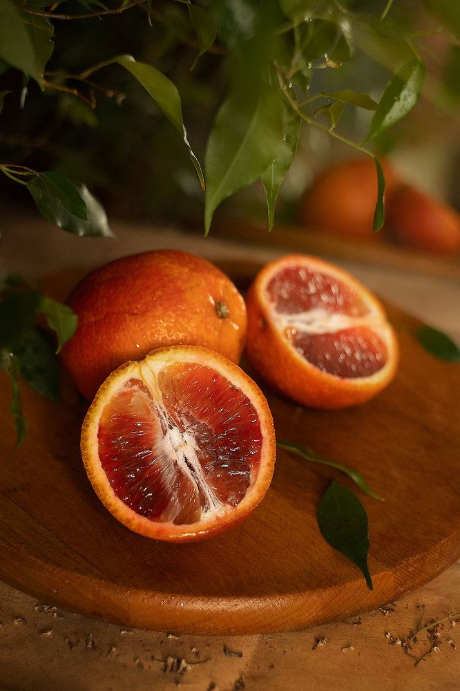 Photograph by Марго Лимп