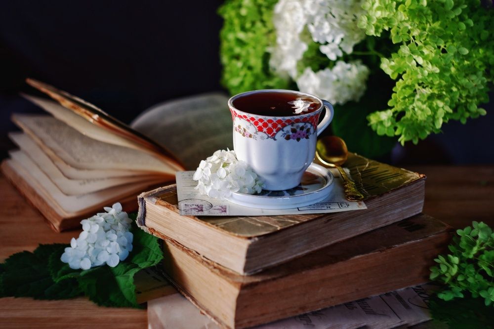 Фотография автора Екатерина Карасева