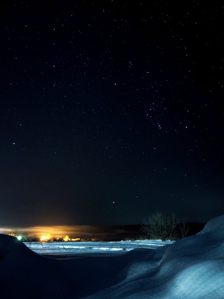 Photograph by Дарья