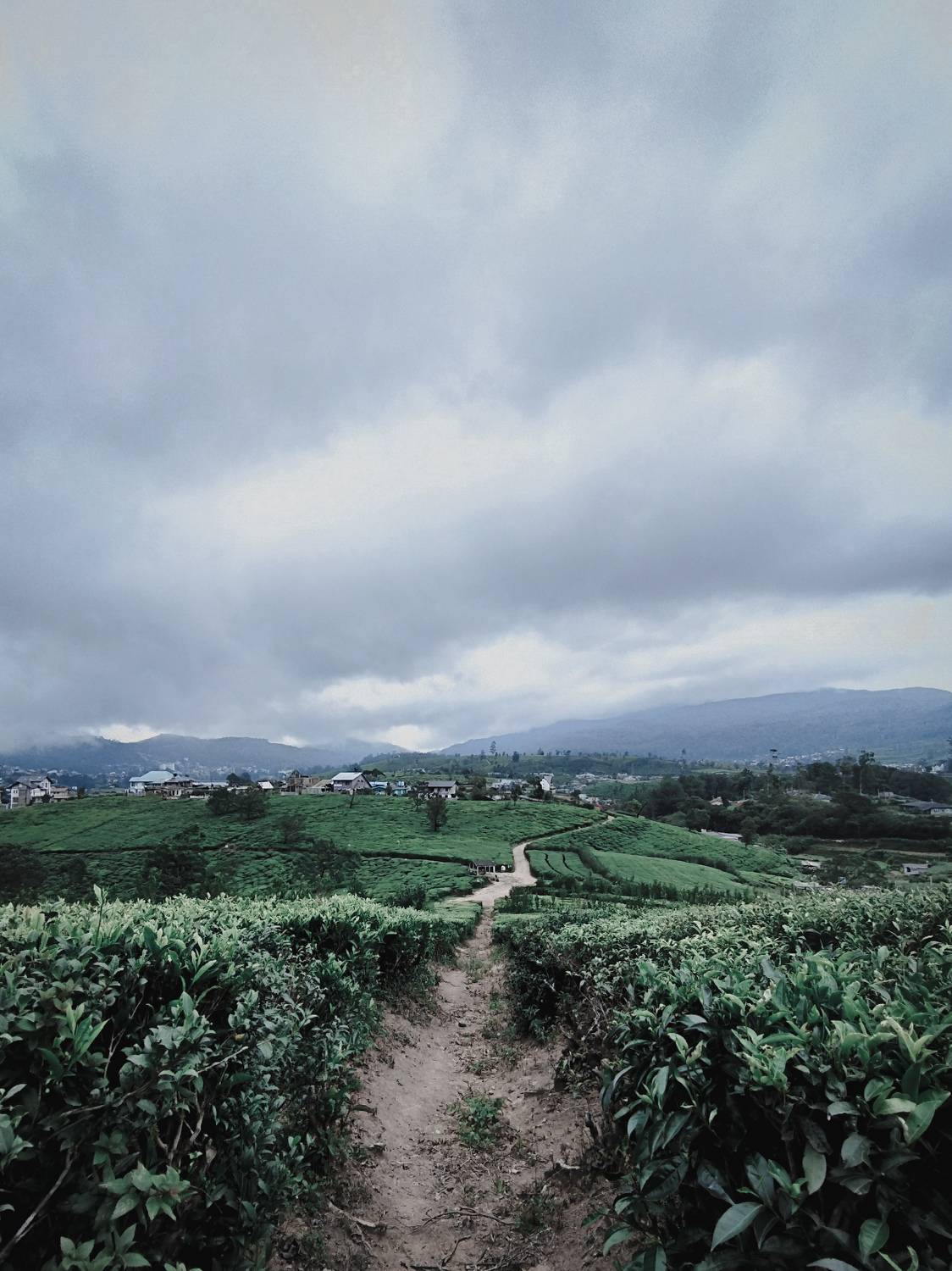 Path of life