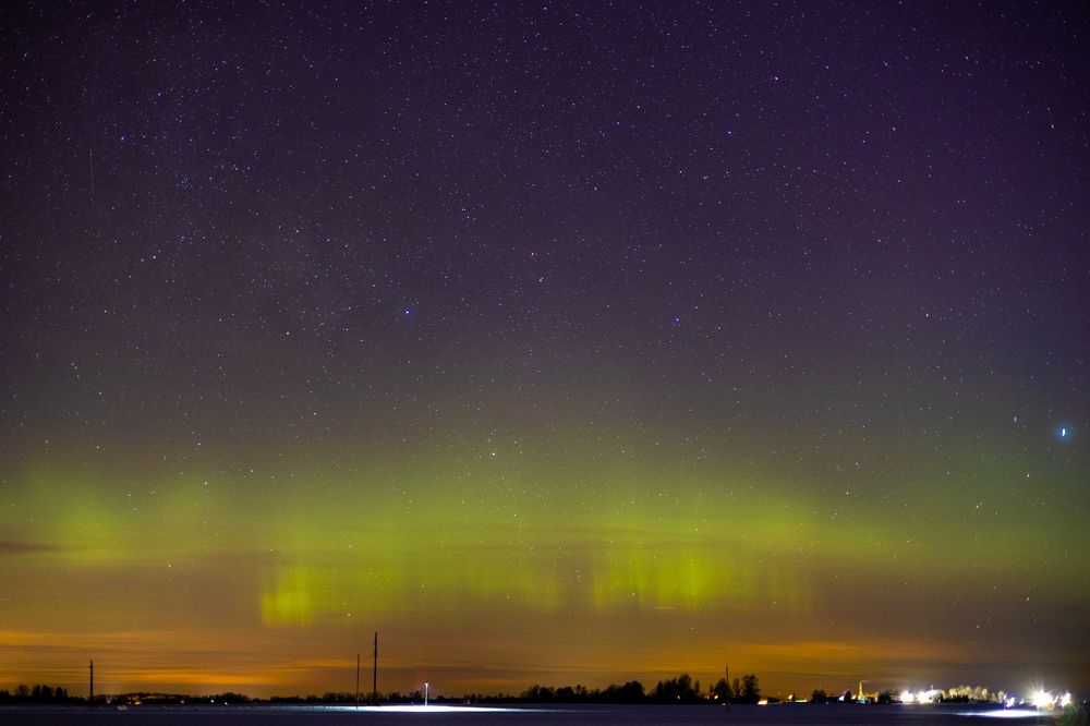 Photograph by Mariko Passel