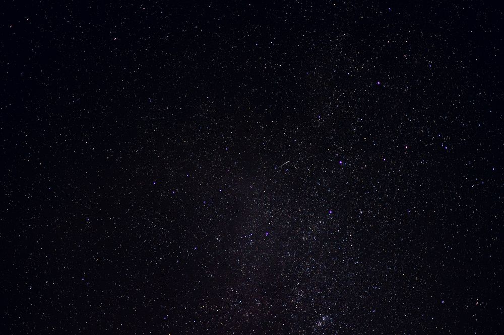 Photograph by Mariko Passel