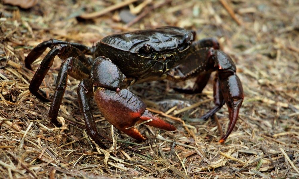 Photograph by Людмила Бутова