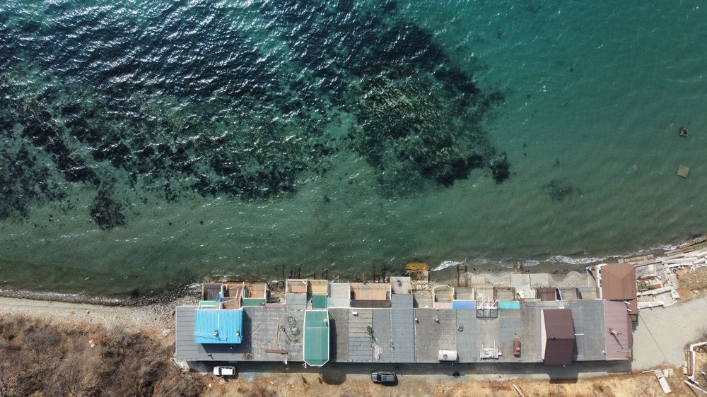 Бухта Вальтон