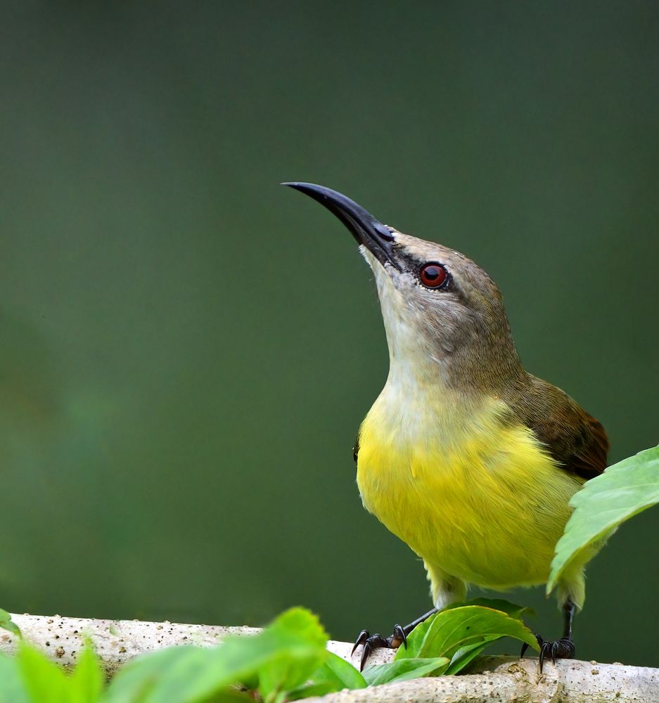 Photograph by Abhishek Manna