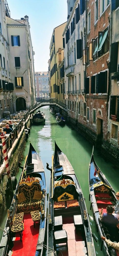 Фотография автора Larisa Tabachnik