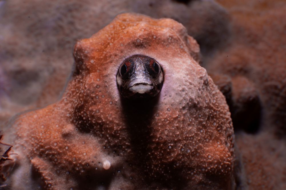 Photograph by Santiago Estrada R