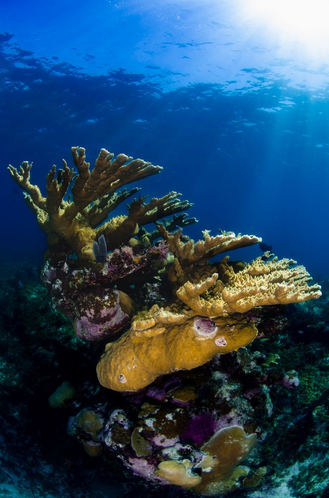 Photograph by Santiago Estrada R