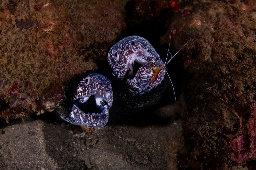 Photograph by Santiago Estrada R