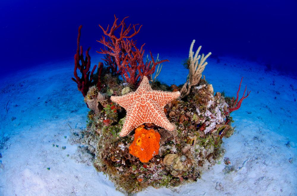 Photograph by Santiago Estrada R