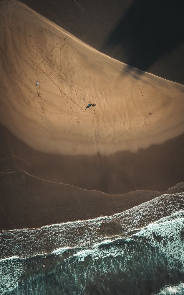 Photograph by Murcia J. A.