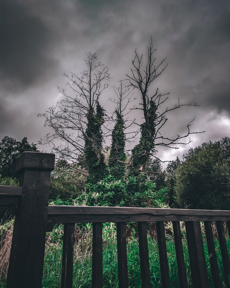 Photograph by Эдвард Попуцевич