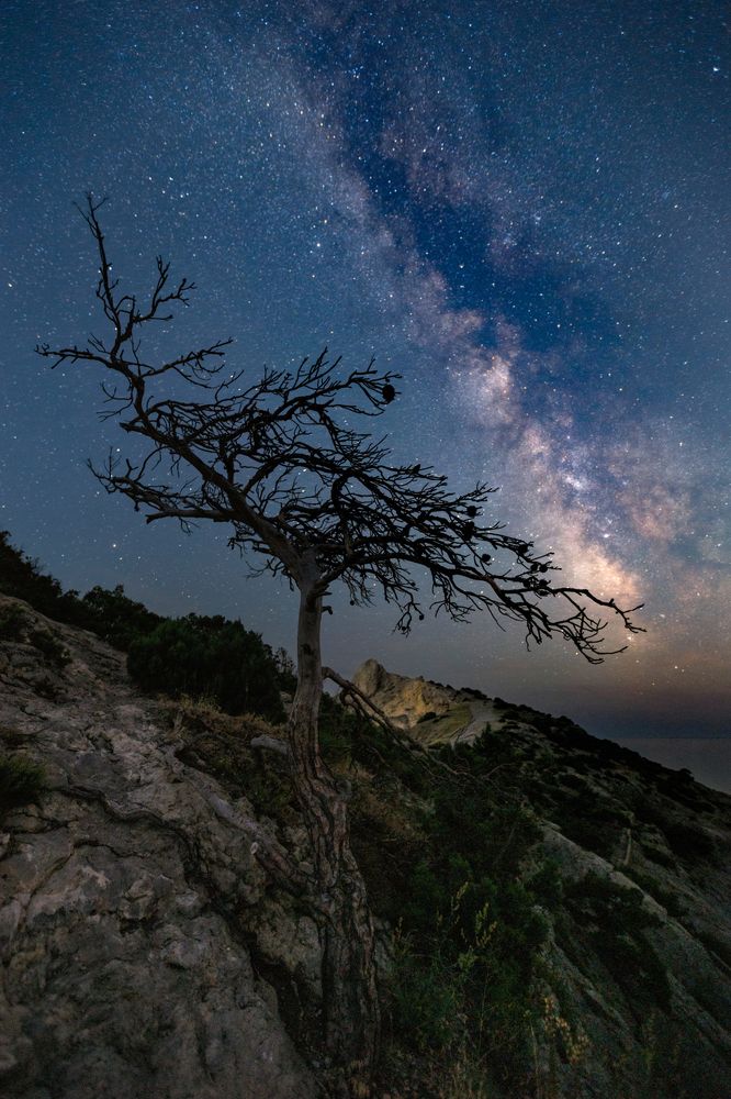 Photograph by С. Сергей